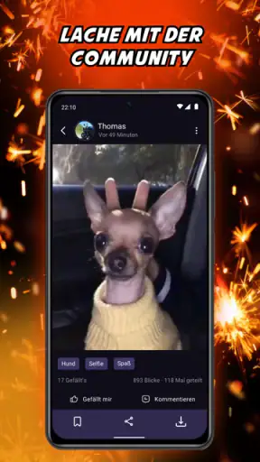 Lustige Witze, Sprüche & Memes screenshot