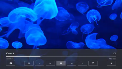 Media Station X screenshot