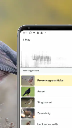 Merlin Bird ID von Cornell Lab screenshot