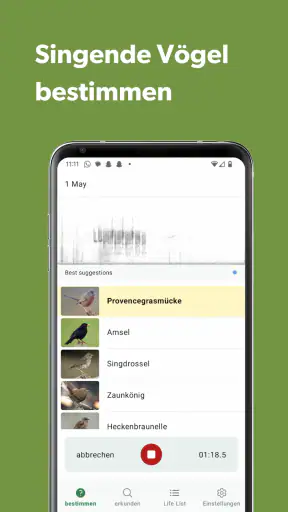Merlin Bird ID von Cornell Lab screenshot