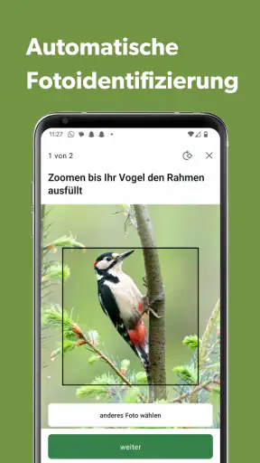 Merlin Bird ID von Cornell Lab screenshot