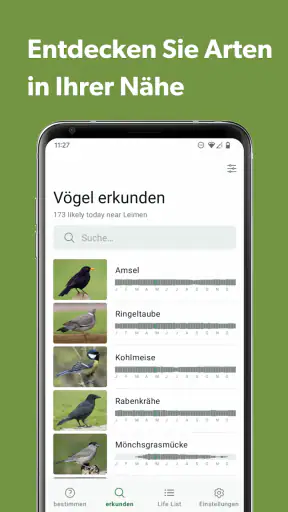 Merlin Bird ID von Cornell Lab screenshot