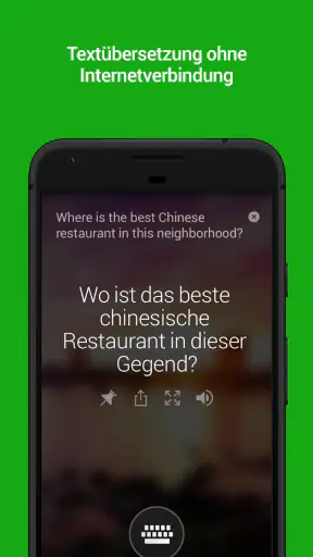 Microsoft Übersetzer screenshot