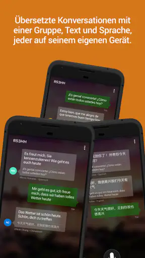 Microsoft Übersetzer screenshot