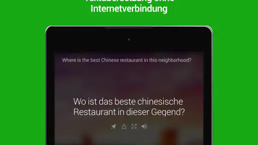 Microsoft Übersetzer screenshot