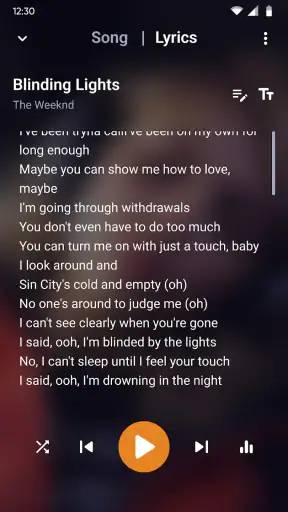 Musik Player - Music Player screenshot