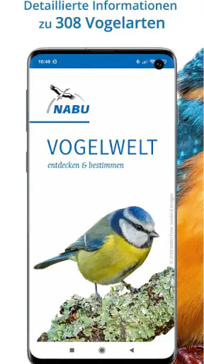 NABU Vogelwelt Vögel Bestimmen screenshot