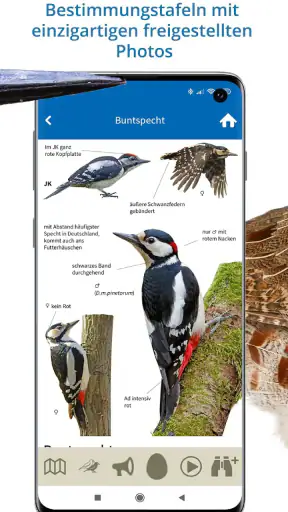 NABU Vogelwelt Vögel Bestimmen screenshot