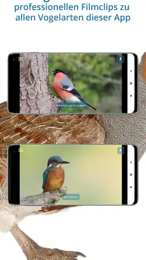 NABU Vogelwelt Vögel Bestimmen screenshot