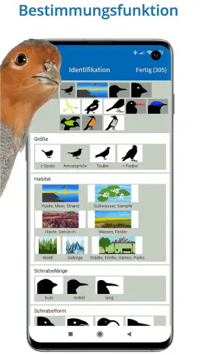 NABU Vogelwelt Vögel Bestimmen screenshot