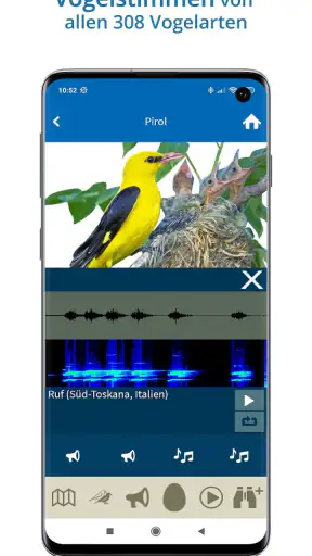 NABU Vogelwelt Vögel Bestimmen screenshot