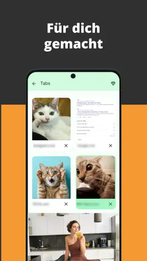 Video Browser screenshot