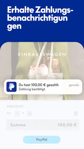 PayPal screenshot