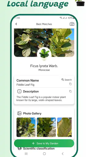 Pflanzenidentifizierer screenshot