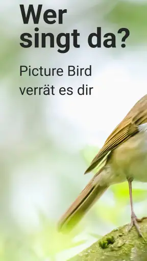 Picture Bird - Vögel bestimmen screenshot