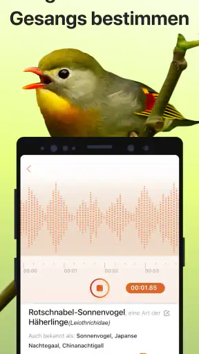 Picture Bird - Vögel bestimmen screenshot