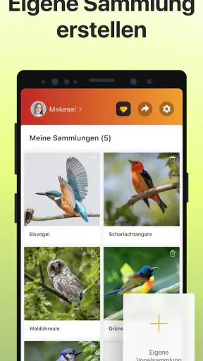 Picture Bird - Vögel bestimmen screenshot