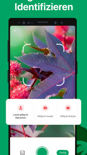 PictureThis Pflanzen bestimmen screenshot