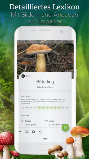 Pilze 123 screenshot