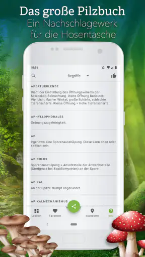 Pilze 123 screenshot