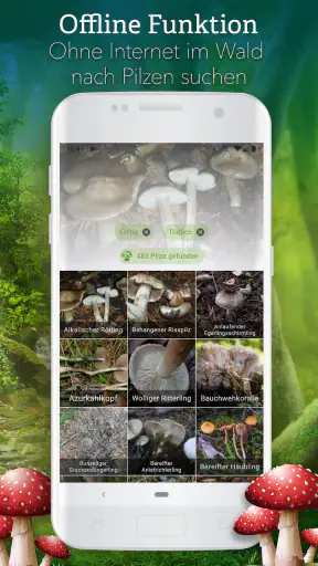 Pilze 123 screenshot