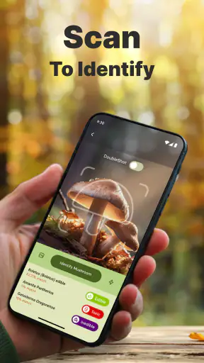 Pilze per Foto bestimmen screenshot