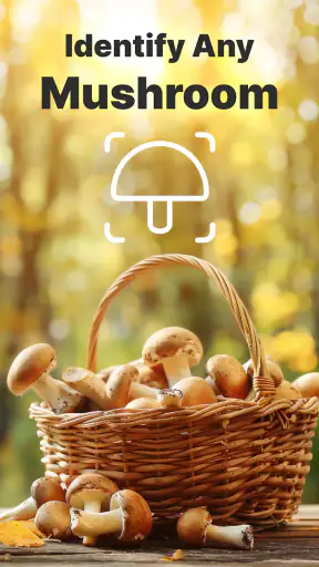 Pilze per Foto bestimmen screenshot