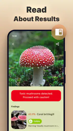 Pilze per Foto bestimmen screenshot