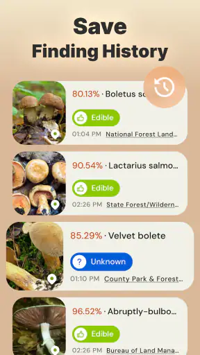 Pilze per Foto bestimmen screenshot