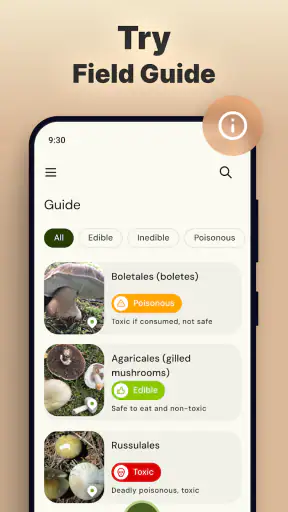 Pilze per Foto bestimmen screenshot