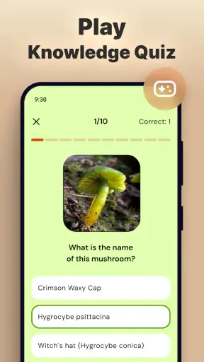 Pilze per Foto bestimmen screenshot