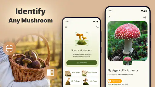 Pilze per Foto bestimmen screenshot
