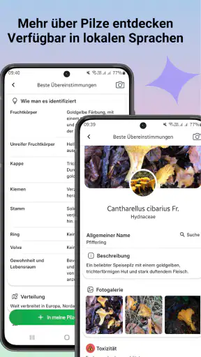 Pilzidentifikator screenshot