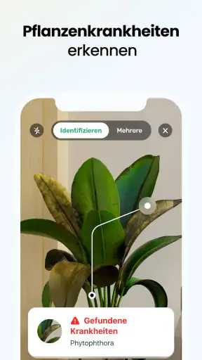 Plant App - Pflanzenfinder screenshot
