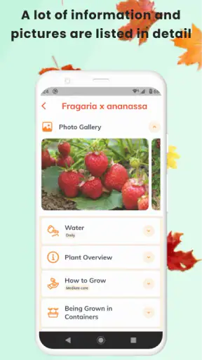 PlantID - Pflanzenident. screenshot