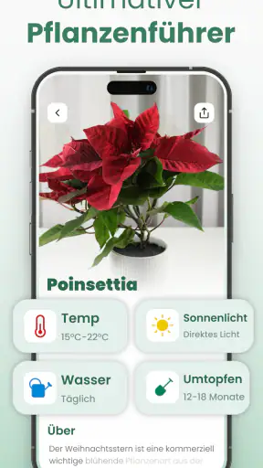 Plantify : Pflanzen Erkennen screenshot