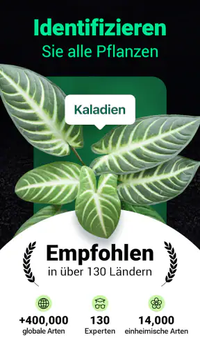Plantum - Pflanzen bestimmen screenshot