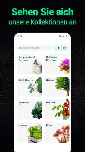 Plantum - Pflanzen bestimmen screenshot