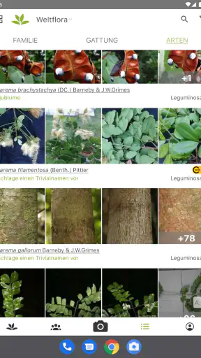 Pl@ntNet Pflanzenbestimmung screenshot