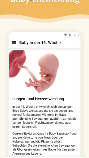 Schwangerschafts-App screenshot