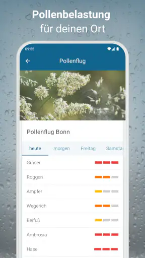 RegenRadar mit Unwetterwarnung screenshot