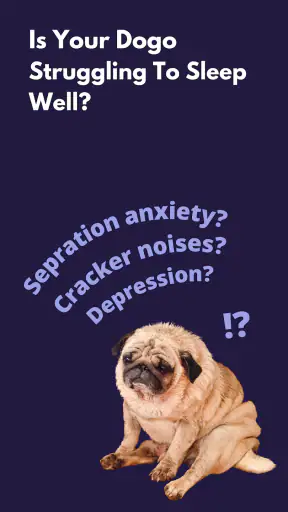 Relax My Dog : Calmly screenshot