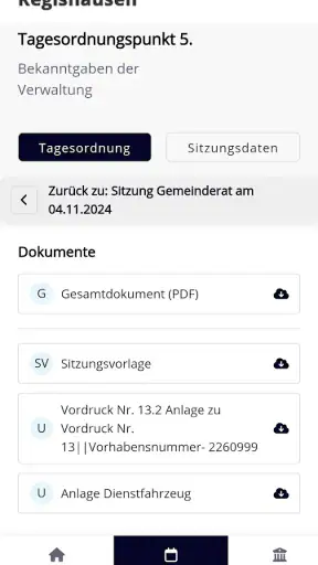 RIS Portal screenshot