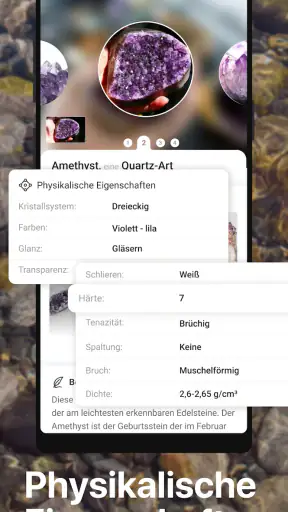 Rock Identifier - Felsen ID screenshot