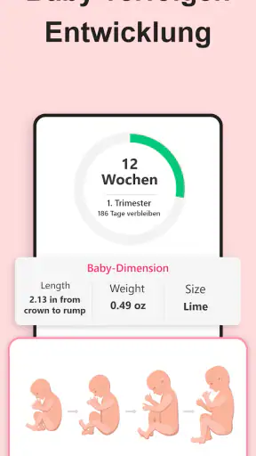 Schwangerschaft Rechner screenshot