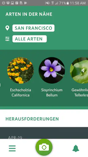 Seek von iNaturalist screenshot