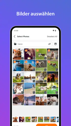 SELPHY Photo Layout screenshot
