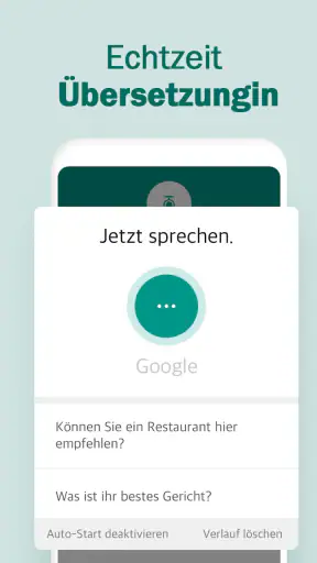 Sprechender Übersetzer screenshot