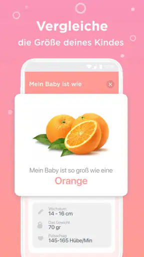 SSW:, schwangerschaft screenshot