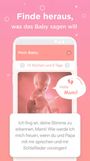 SSW:, schwangerschaft screenshot